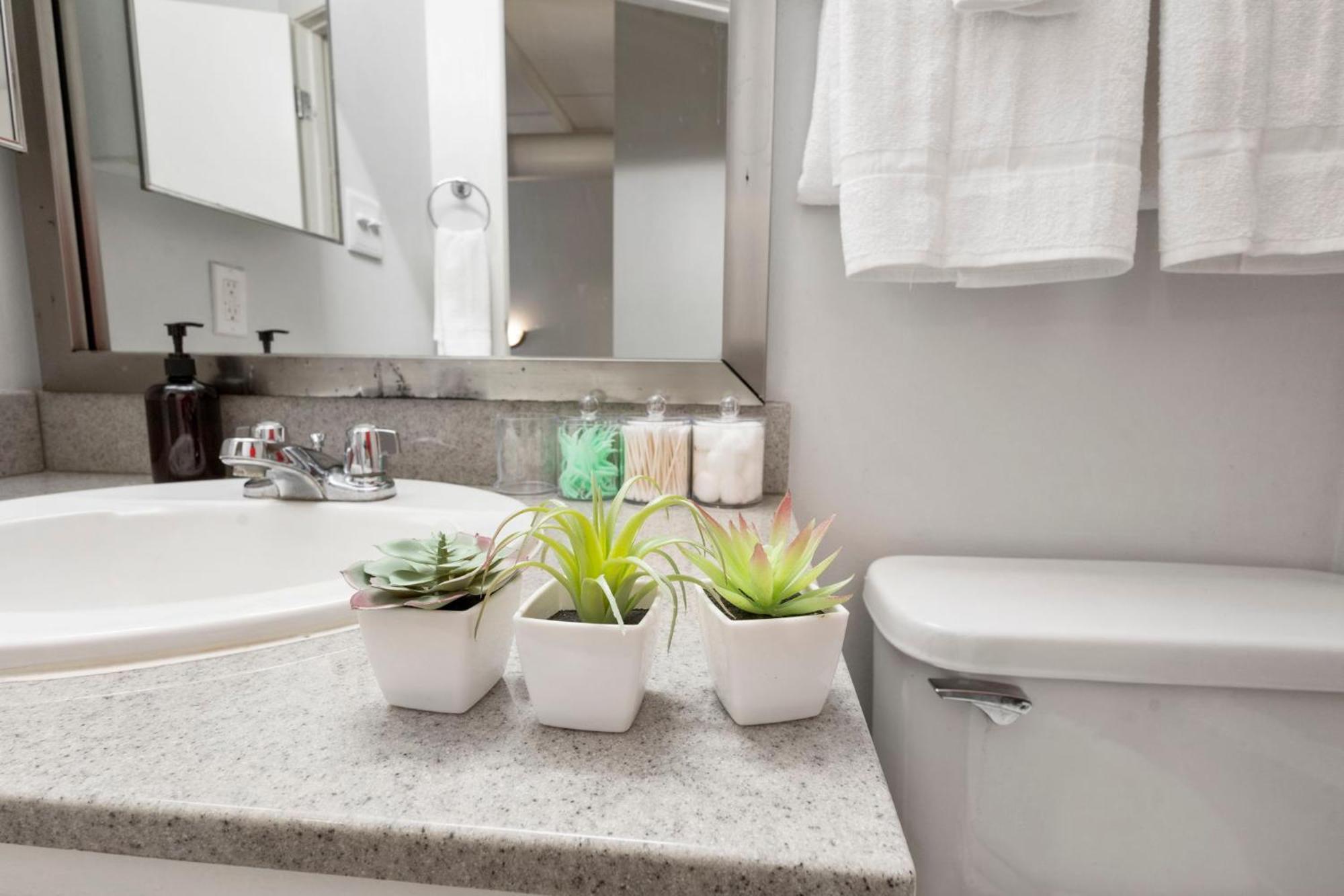 Апартаменти Indy Loft - Monument Circle - Sleeps 7 - Convention Walkable Індіанаполіс Екстер'єр фото